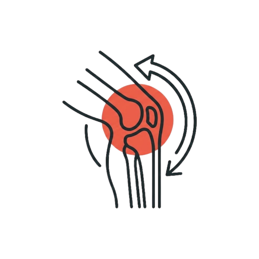 Recuperación y fisio